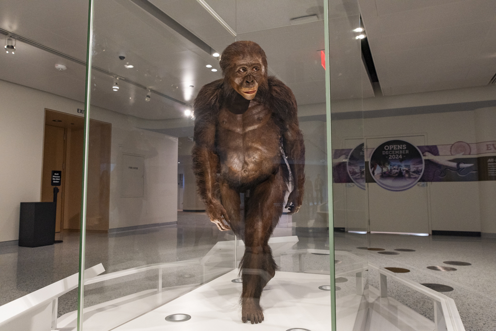 100 Years of Discovery